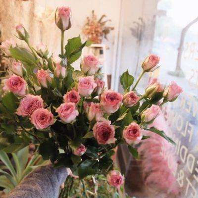 天博网页版登录界面