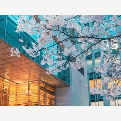 天博网页版登录界面