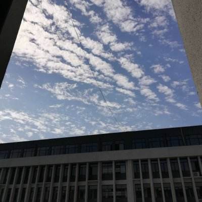 天博网页版登录界面截图